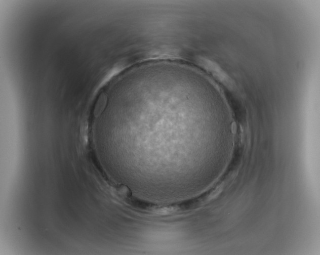 X0000115311165200911091131