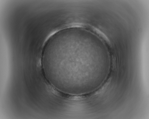 X0000115311166200911091131