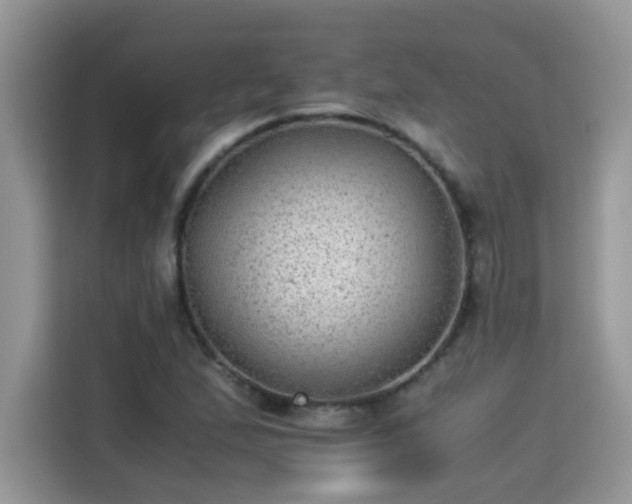 X0000115311167200911091131
