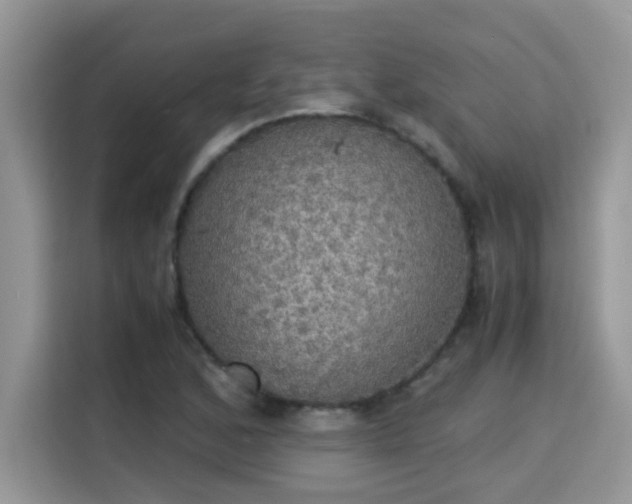 X0000115311168200911091131