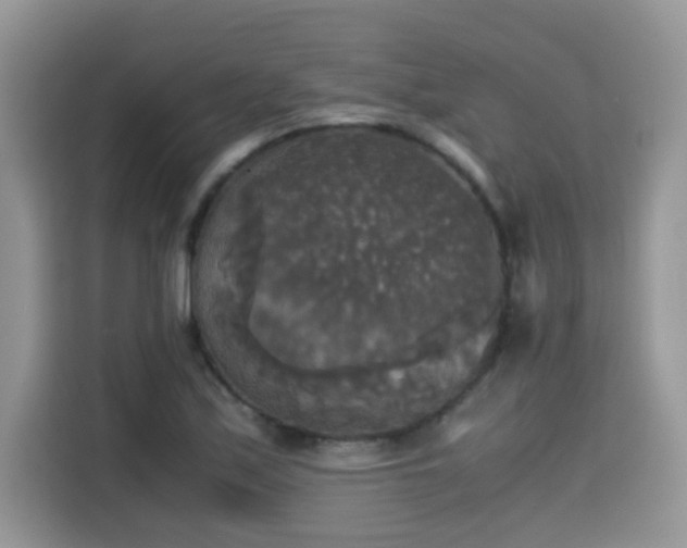 X0000115311171200911091131