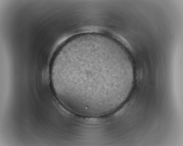 X0000115311172200911091131