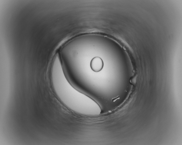 X0000115311173200911091131