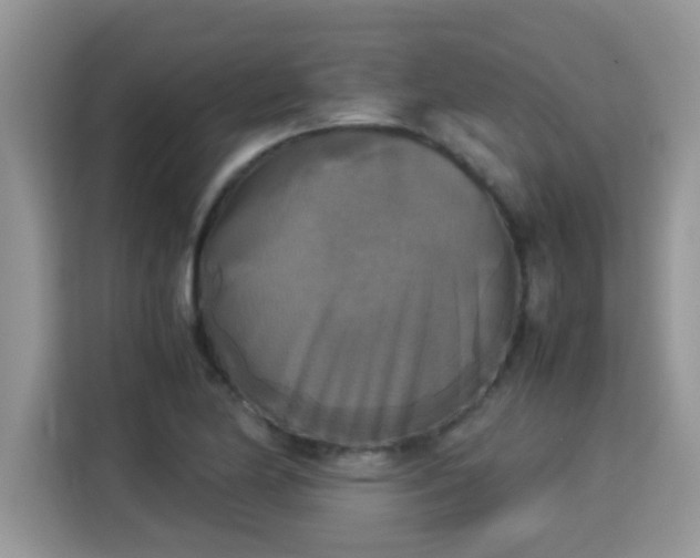 X0000115311174200911091131