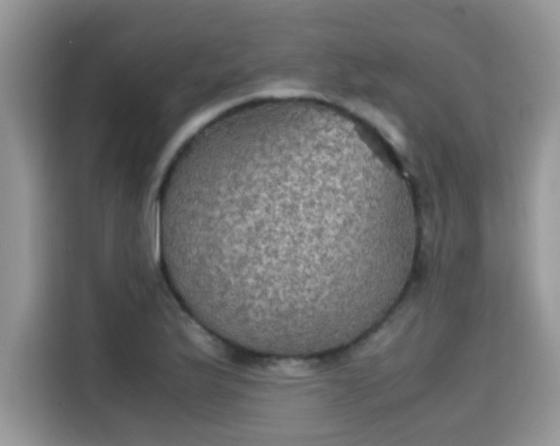 X0000115311175200911091131
