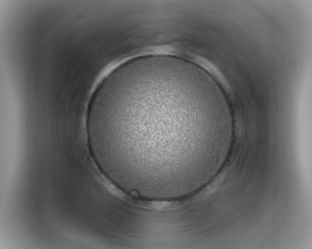 X0000115311176200911091131