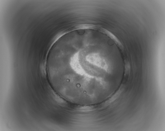 X0000115311178200911091131