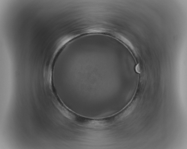 X0000115311179200911091131