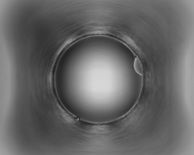 X0000115311181200911091131