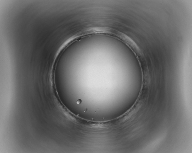 X0000115311182200911091131