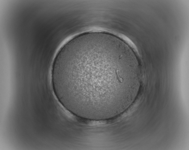 X0000115311183200911091131