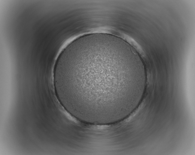 X0000115311184200911091131