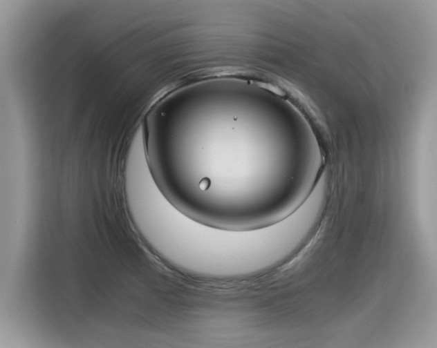 X0000115311185200911091131