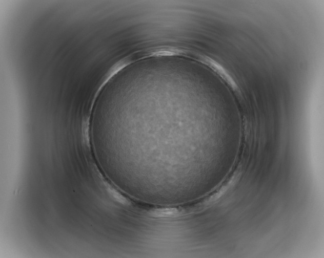 X0000115311186200911091130