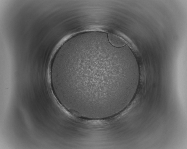 X0000115311188200911091130