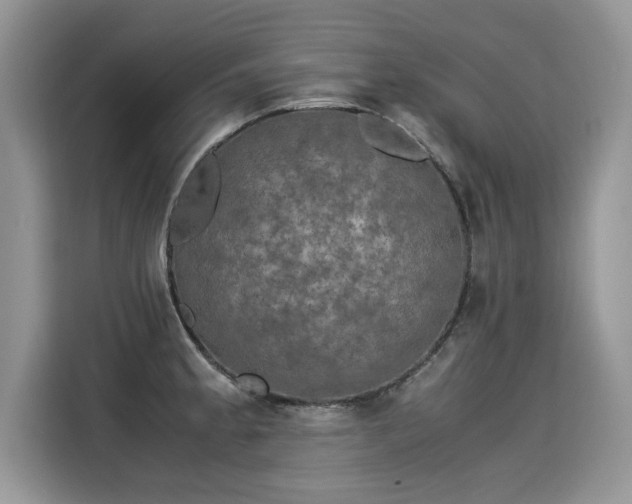 X0000115311189200911091130
