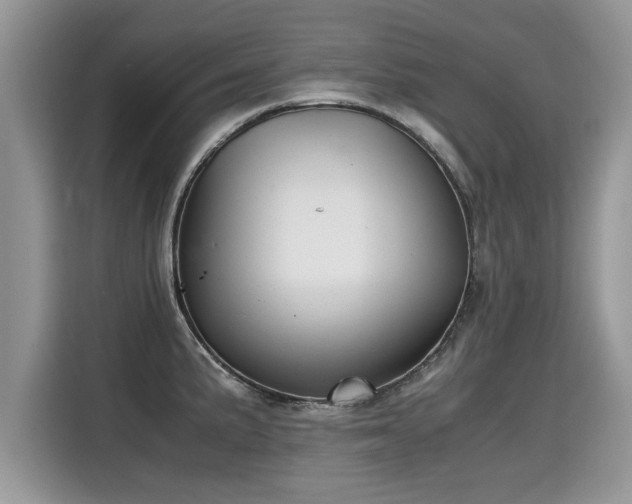 X0000115311191200911091130