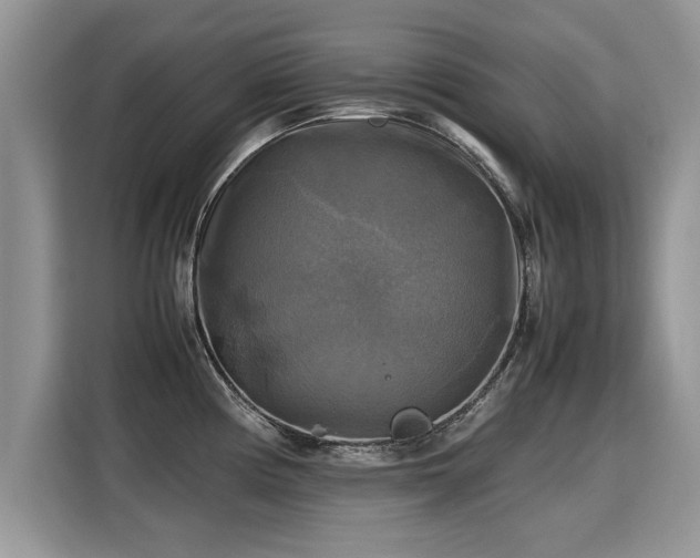 X0000115311194200911091130