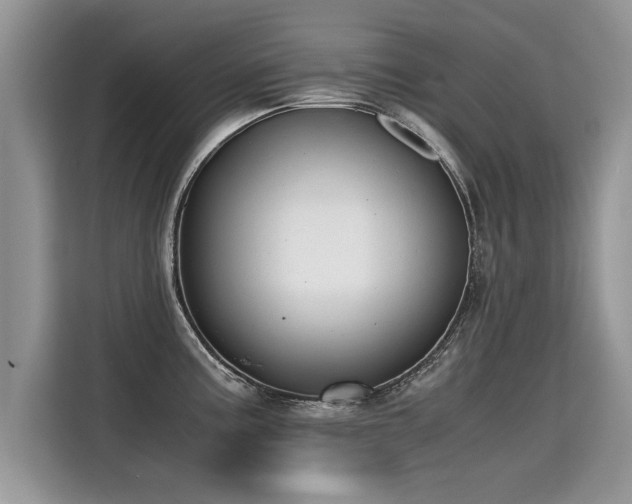 X0000115311195200911091130