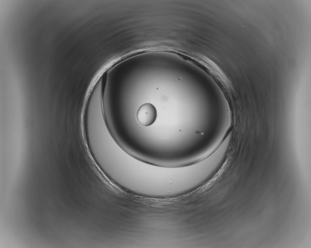 X0000115311196200911091130