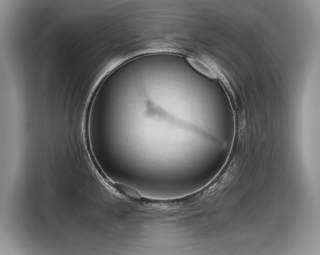 X0000115311197200911091130