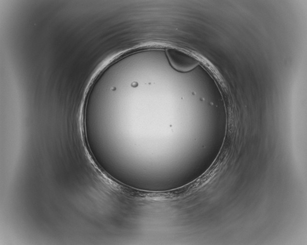 X0000115311199200911091130
