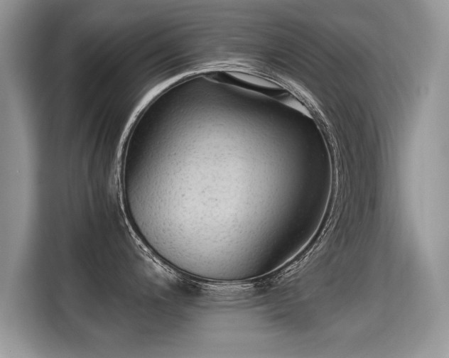X0000115311200200911091130