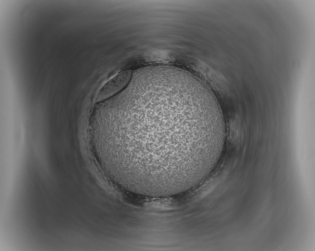 X0000115311201200911091130