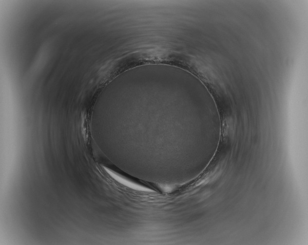X0000115311202200911091130