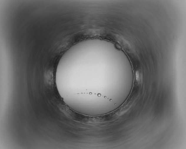 X0000115311203200911091130