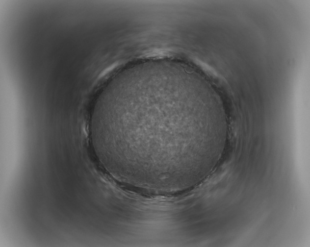 X0000115311206200911091130