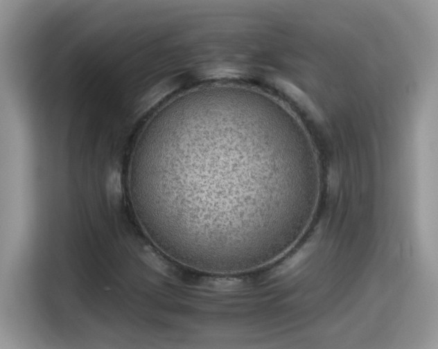 X0000115311209200911091130