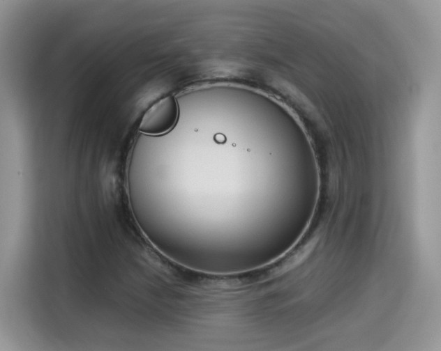 X0000115311210200911091130