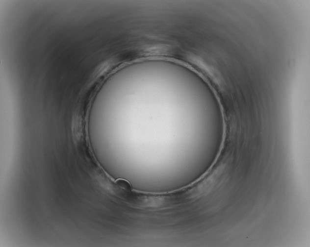 X0000115311211200911091130
