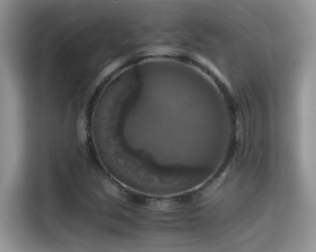 X0000115311213200911091130