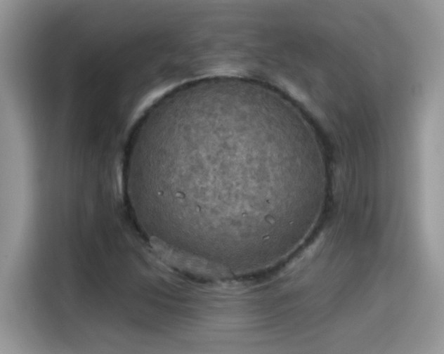 X0000115311214200911091130