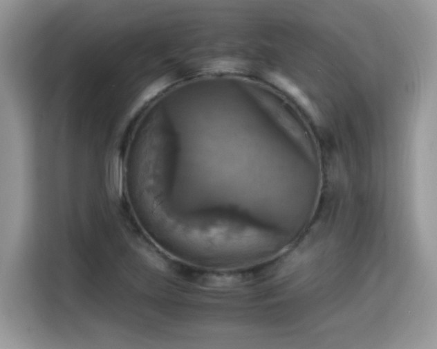 X0000115311219200911091130