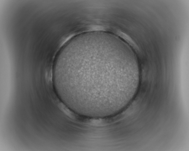 X0000115311220200911091130