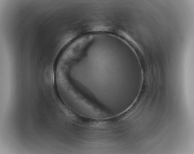 X0000115311221200911091130