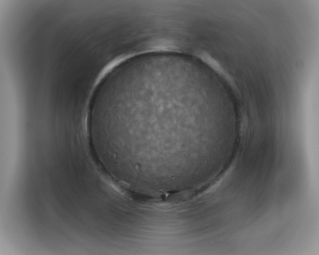 X0000115311222200911091130