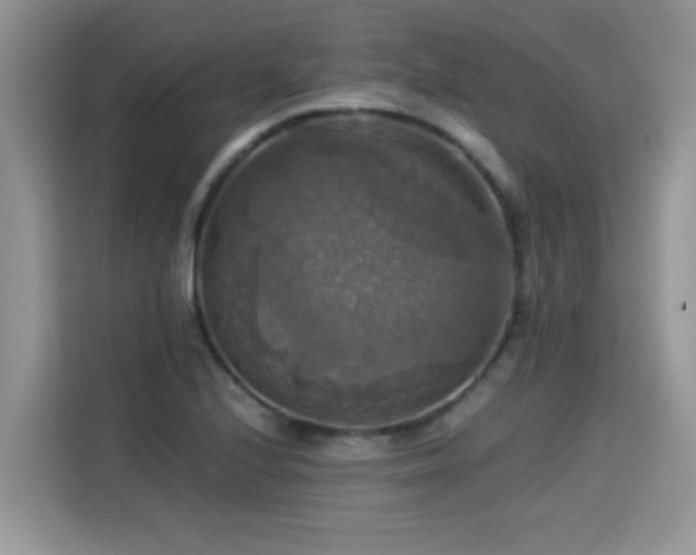 X0000115311224200911091130