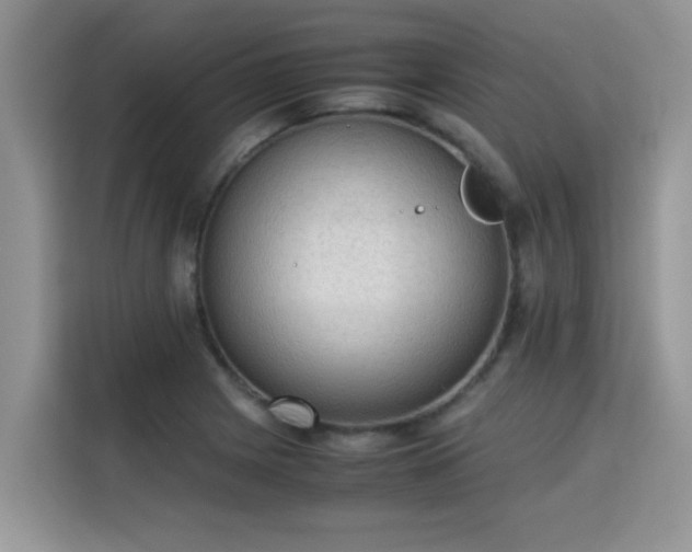 X0000115311225200911091130
