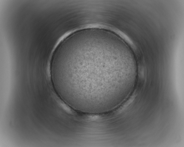 X0000115311230200911091130