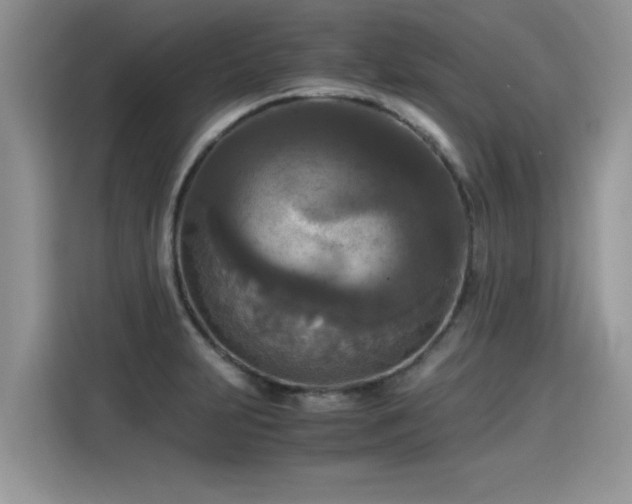 X0000115311231200911091130