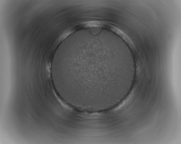X0000115311233200911091130