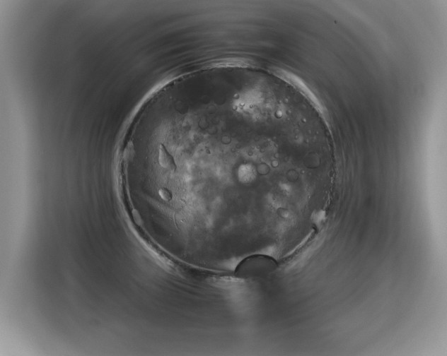 X0000115311235200911091130