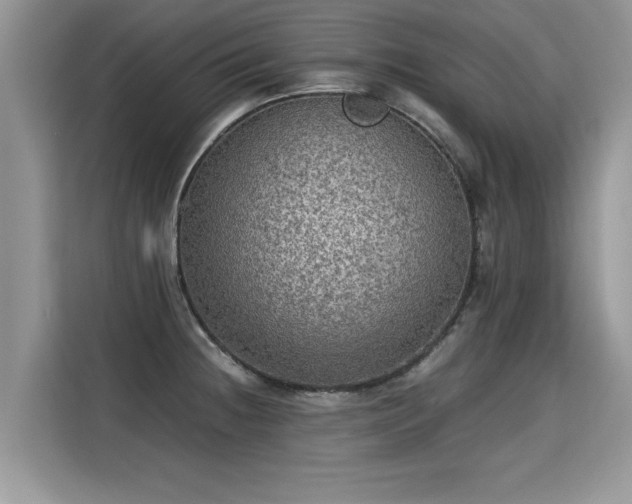 X0000115311236200911091130