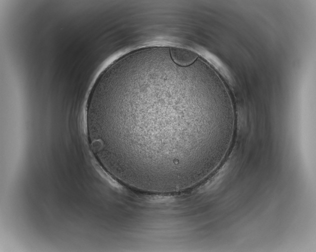 X0000115311238200911091130