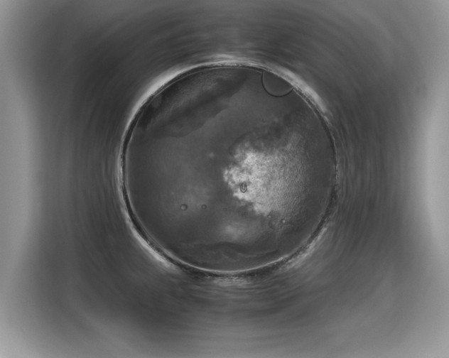 X0000115311239200911091130