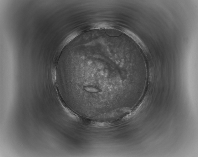 X0000115311241200911091130